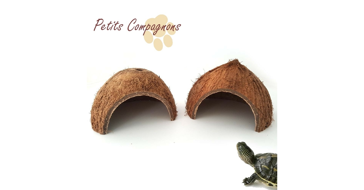 Cachette Noix Coco Pour Reptiles Amphibiens Petits Compagnons